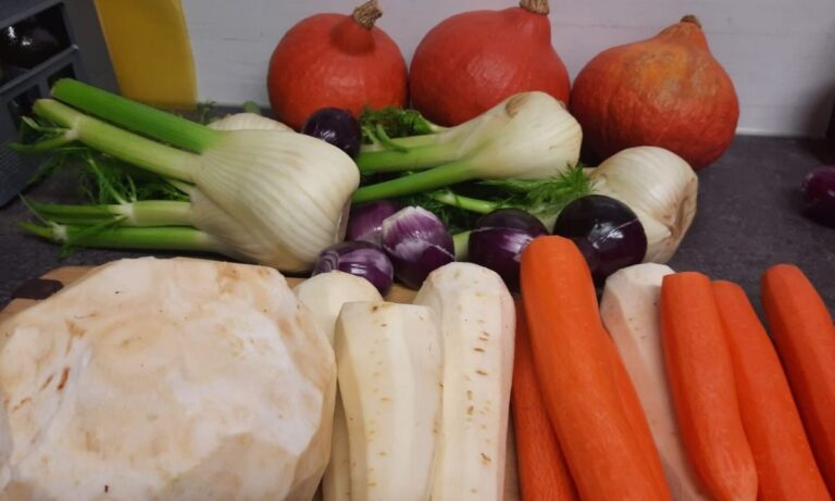 Verschiedenes Gemüse, wie Kürbisse, Fenchel, Sellerie, Zwiebeln und Rüben, liegen auf einer Küchenarbeitsplatte.